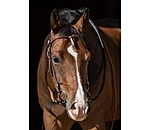Western Bridle with Reins