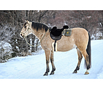 Sheepskin Saddle Leisure