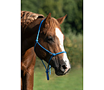 Quality Rope Halter