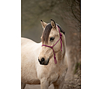 Quality Rope Halter