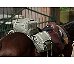 Saddle Bag Big Adventure