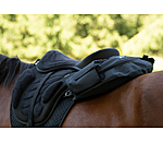   Cantle Saddle Bag Explorer 