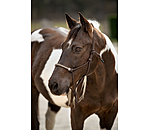 Rope Halter Nic