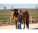 Rope Halter Nic