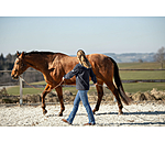 Rope Halter Nic