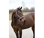 Halter Stone