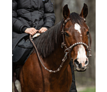 Trekking Headcollar 3 in 1