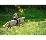 Exercise Fly Rug With Rollable Neck Piece