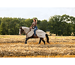 Exercise Fly Rug With Rollable Neck Piece