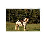Pony Western Saddle