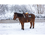 Pony Western Saddle