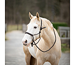 Rope Halter Set All-in-One