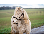Rope Halter Set All-in-One