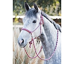 Rope Halter Set All-in-One