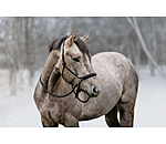 Rope Halter Set All-in-One