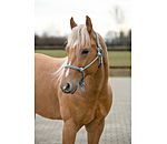 Rope Halter Bo
