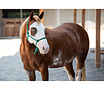 Rope Halter Bo
