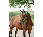 Rope Halter Bo