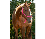 Rope Halter Bo