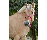 Rope Halter Bo