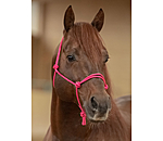 Rope Halter Bo