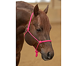 Rope Halter Bo