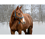 Rope Halter Bo