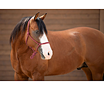 Rope Halter Bo