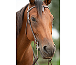 Mix & Match Futurity Knot Browband Dots