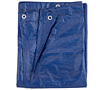 Training Tarpaulin