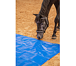 Training Tarpaulin