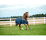 Fly Rug Breeze