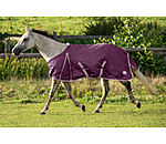 Fly Rug Breeze