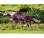 Fly Rug Breeze