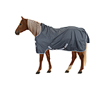 Lightweight Turnout Rug Forrest