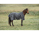 Lightweight Turnout Rug Forrest