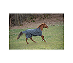 Lightweight Turnout Rug Forrest