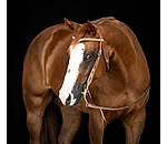 V-shaped Headstall Studded