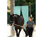 Spook Busting Training Bar