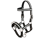 Multifunctional Bridle