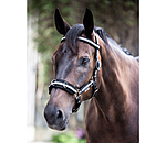 Multifunctional Bridle