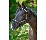 Multifunctional Bridle