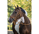 Rope Halter with Reins