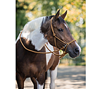 Rope Halter with Reins