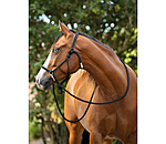 Rope Halter with Reins