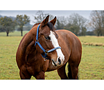Halter Filo