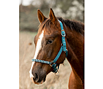 Halter Filo