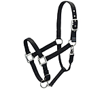 Nylon Headcollar