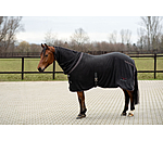 Polar Fleece Wicking Rug