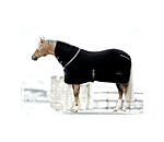 Polar Fleece Wicking Rug